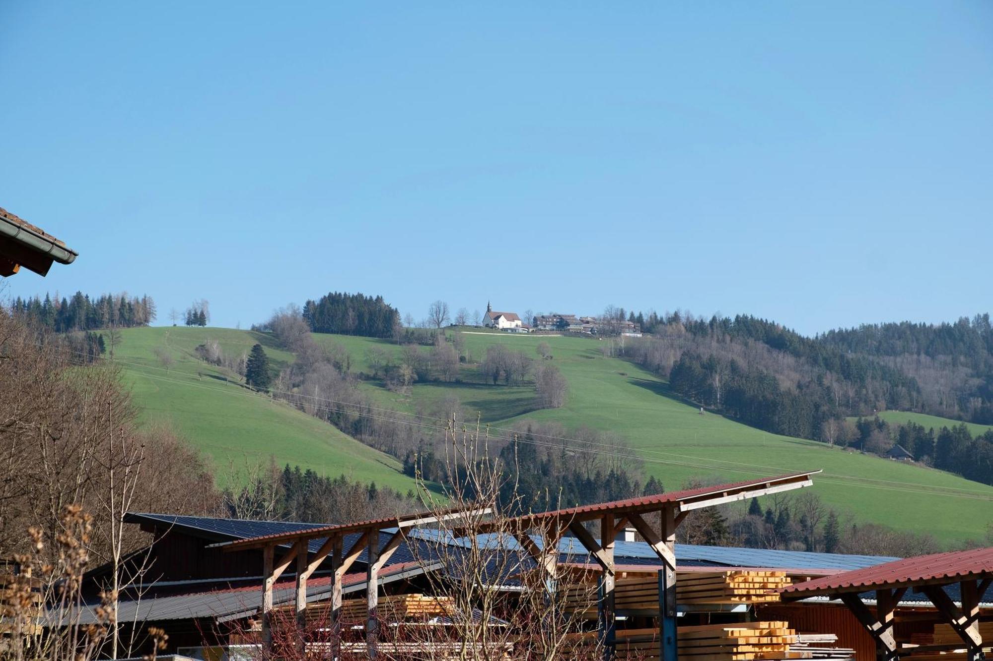 Ruhige Schwarzwald Ferienwohnung Buchenbach  Exterior foto