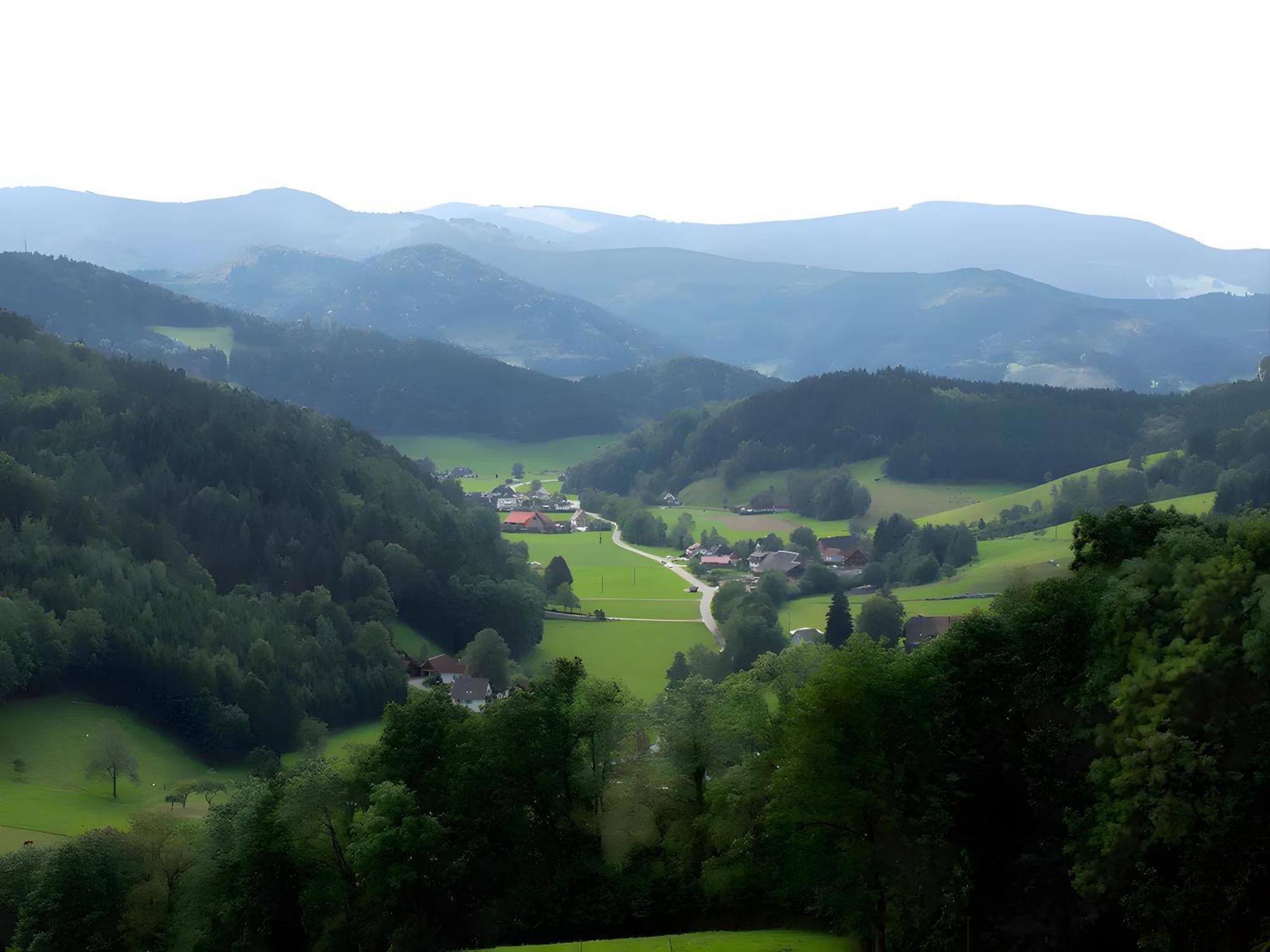 Ruhige Schwarzwald Ferienwohnung Buchenbach  Exterior foto
